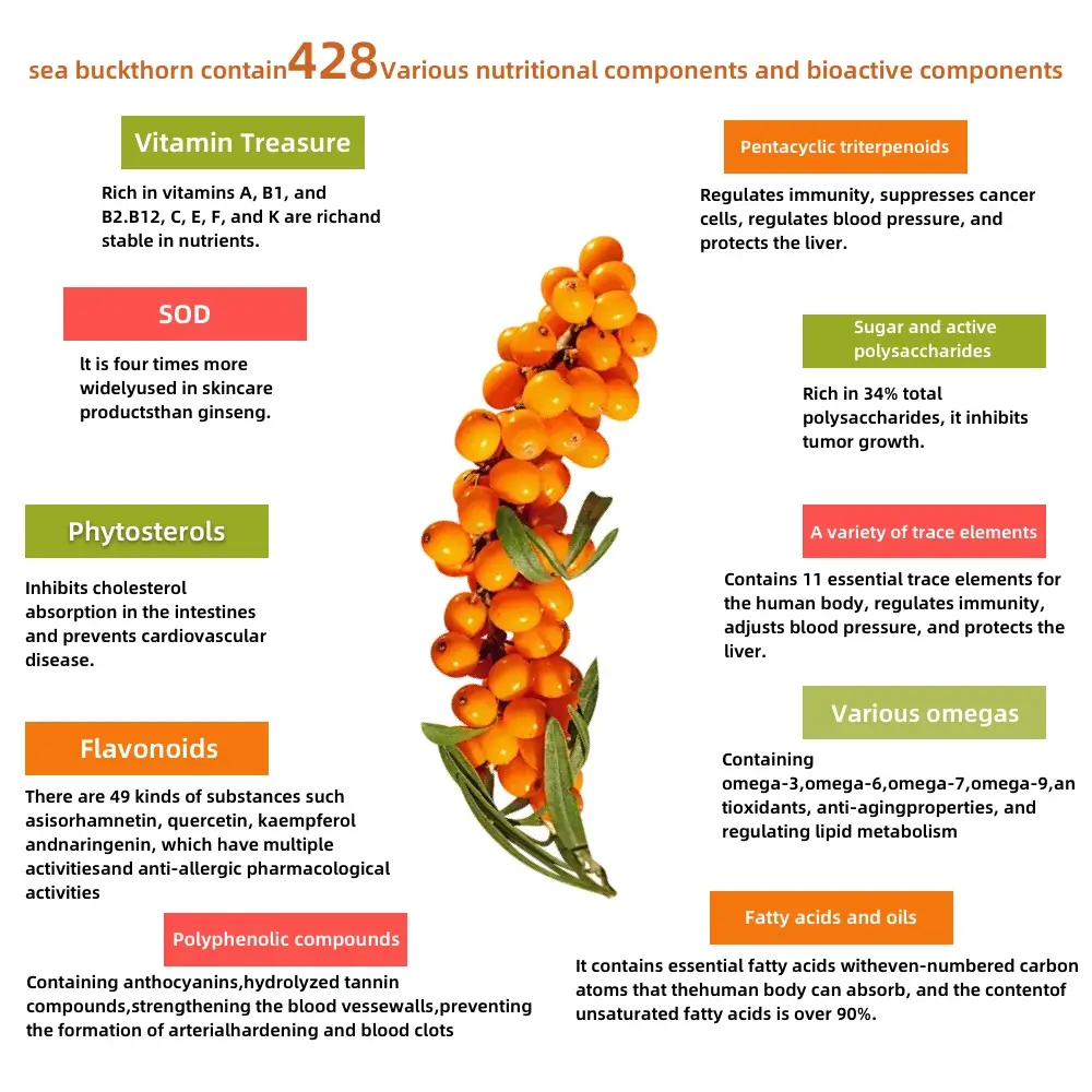 Sea-Buckthorn-Juice